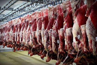با افزایش عرضه دام /  قیمت گوشت در هفته‌های آینده کاهش می یابد