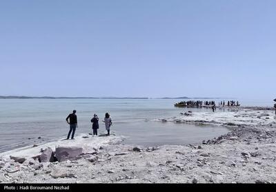 تایید تفحص از ستاد احیای دریاچه ارومیه در کمیسیون کشاورزی - تسنیم