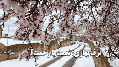 برف بهاری؛ نعمت یا زحمت؟ / ببینید چطور برف بهار ایران را زمستان کرد!(فیلم)