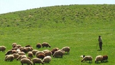 پیشنهاد نامگذاری ۲۵ اردیبهشت به عنوان روز ملی مرتع و مرتعداری