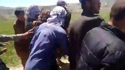 (ویدئو) طالبان به جان مزارع خشخاش افتادند