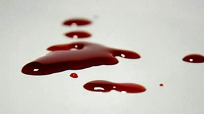 قتل یک پیرزن تنها با ۳۶ ضربه چاقو در تهران