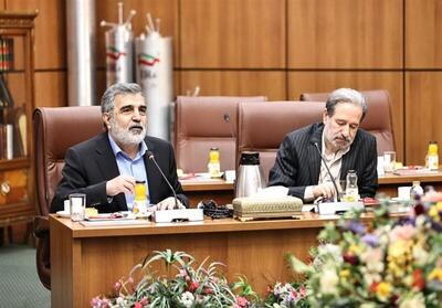 ایران برای همکاری‌ها در حوزه فناوری هسته‌ای اعلام آمادگی کرد