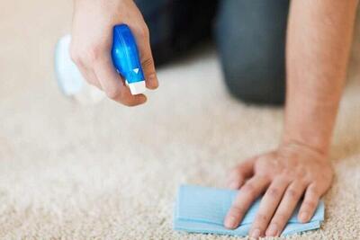 بهترین راه پاک کردن لکه و بوی بد شیر از فرش