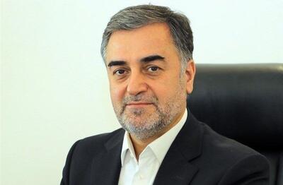حسینی‌ پور انتصابش در معاونت پارلمانی رئیس‌جمهور را تایید کرد