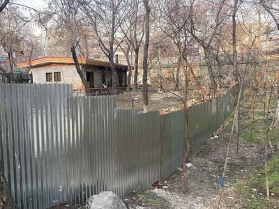 رئیس سازمان محیط زیست: در محل ساخت مسجد در پارک قیطریه، درختی وجود ندارد که قطع شود | رویداد24