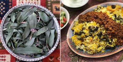 طرز تهیه والک پلو به روش تهرانی / طبیعت ناب و خوش عطر رو روی میز غذا بیار