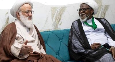 شیخ ابراهیم زکزاکی در نجف: میلیون‌ها نفر در آفریقا شیعه شده‌اند