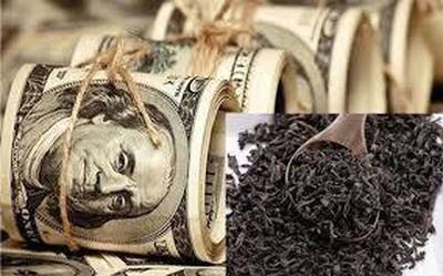 فرار به جلوی دولت رئیسی برای پنهان کاری بزرگترین فساد ارزی در تاریخ ایران