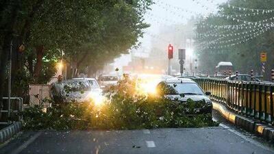 هشدار وزش باد شدید لحظه‌ای در تهران تا یک‌شنبه