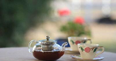 روش صحیح دم کردن چای و نکات خوش عطر و خوش رنگ شدن چای