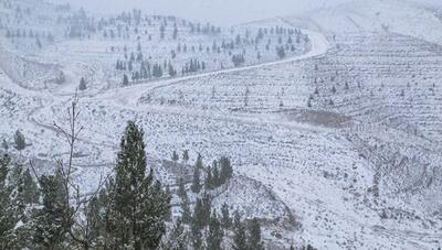 هشدار بارش برف و سرما در ارتفاعات خراسان شمالی؛ عشایر از کوچ به این مناطق خودداری کنند