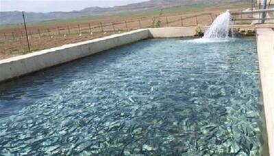 غرق شدگی جوان 25 ساله در استخر پرورش ماهی در ماهنشان زنجان
