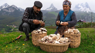 (ویدئو) فرآیند برداشت و پختن غذا با قارچ در کوهستان های آذربایجان