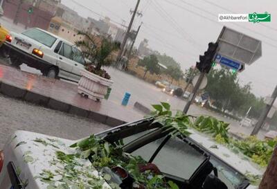 بارش‌ در مشهد در ۲۰۰ سال گذشته بی‌سابقه بوده است