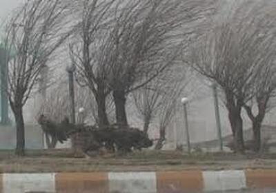 هشدار به تهرانی ها؛ ساکنان این مناطق منتظر وزش باد شدید باشند | سامانه بارشی هم در راه است؟