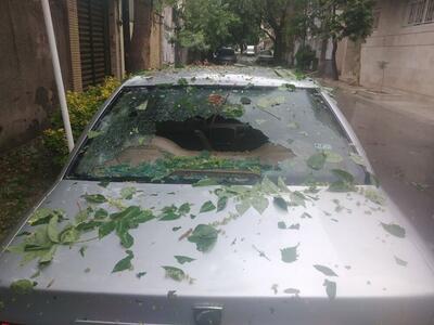 آسیب تگرگ به بسیاری از خودروهای سطح شهر مشهد