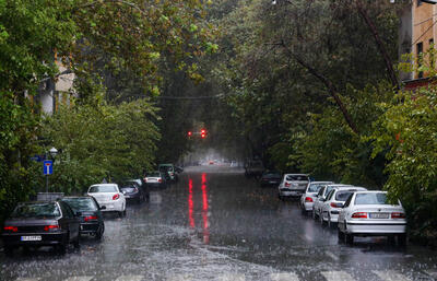 ببینید | شدت بارش باران در مشهد به اوج رسید