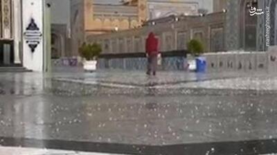 فیلم/ بارش تگرگ در حرم مطهر رضوی