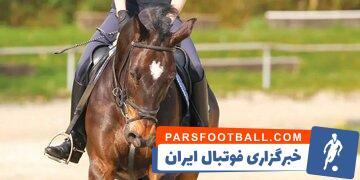 افتتاح مرکز فنی حرفه‌ای فدراسیون سوارکاری - پارس فوتبال | خبرگزاری فوتبال ایران | ParsFootball