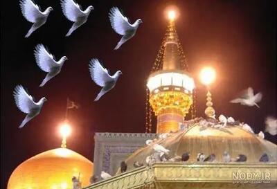 تلاش مردم برای نجات کبوتران از زیر بارش تگرگ مشهد+ فیلم