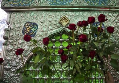 جشن میلاد امام رئوف در شاهچراغ برگزار می‌شود - تسنیم