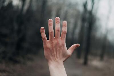 چرا اغلب پستانداران پنج انگشت دارند؟ - زومیت