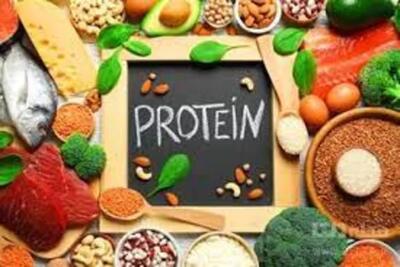 معرفی 6 منبع مغذی پروتئین برای کاهش وزن - اندیشه قرن