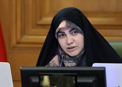 انتقاد عضو شورای شهر تهران به عدم ارائه لایحه پیشگیری از تغییرات اقلیمی پس از ۹ سال