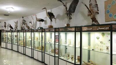 بازدید از موزه‌های تاریخ طبیعی کشور تا این تاریخ رایگان است