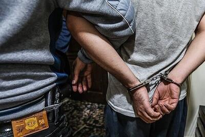 ۳۲ سارق و فروشنده مواد مخدر در بهارستان دستگیر شدند