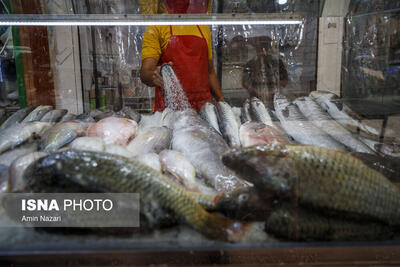 فروش ماهی ‌رودخانه‌ای‌ در دزفول تا پایان فصل زادآوری ممنوع است