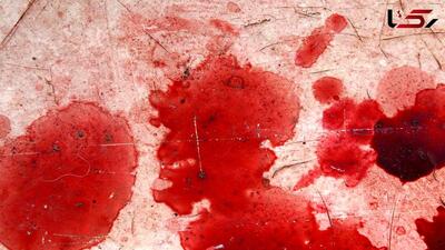قتل خونین جوان کرجی بخاطر تنه به تنه شدن با قاتل + جزییات | روزنو
