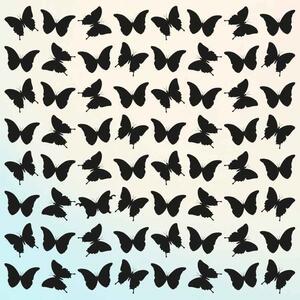 تست بینایی: آیا می توانید پروانه متفاوت را در مدت 5 ثانیه پیدا کنید؟ - خبرنامه