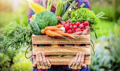 کدام سبزیجات برای لاغری خوب است؟ | اقتصاد24