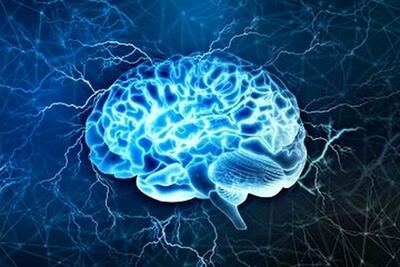 آیا مغز انسان توانایی تغییر دارد؟
