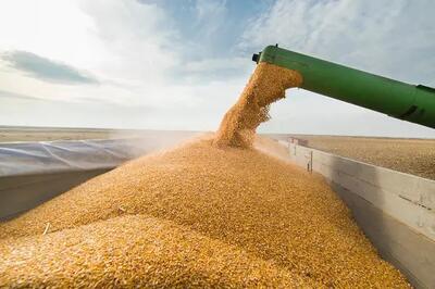 ۲ میلیون تُن گندم خرید تضمینی شد - اندیشه قرن