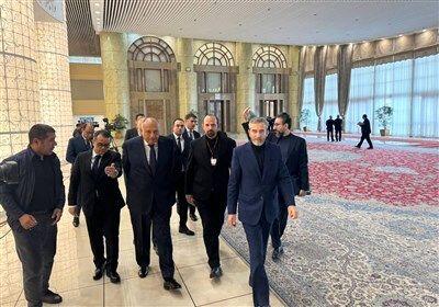 دیدار و گفتگوی وزیر خارجه مصر و باقری در تهران