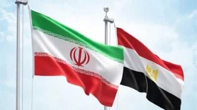 وزیر خارجه مصر در دیدار مخبر: مصر خواستار تقویت روابط با ایران است