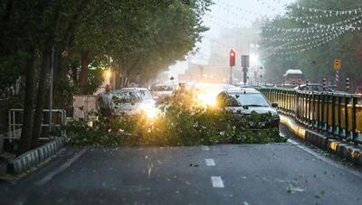 هشدار هواشناسی درباره وزش باد شدید و رگبار در تهران