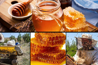 محصولات زنبور عسل معاف از پرداخت مالیات بر ارزش افزوده شد