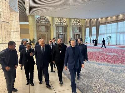 وزیر خارجه مصر: آرزو داشتم در فرصت و موقعیت بهتری به ایران سفر می‌کردم