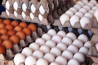 قیمت تخم مرغ در بازار روز تهران چند؟