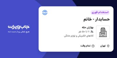 استخدام حسابدار - خانم در بهاران حله