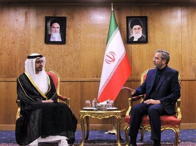 باقری در دیدار وزیر خارجه امارات: تنش‌زدایی با همسایگان استمرار خواهد یافت