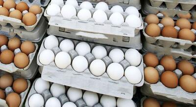 قیمت تخم مرغ امروز ۳ خرداد ۱۴۰۳ | روزنو