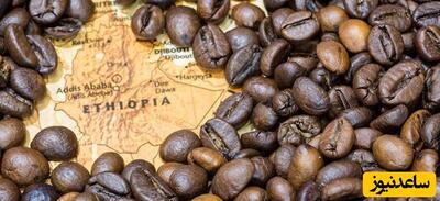 معرفی قهوه اتیوپی و دلایل محبوبیت آن
