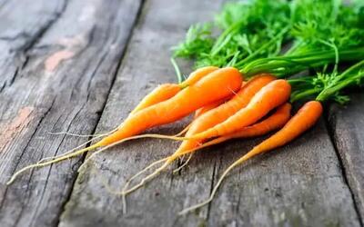 هویج پخته بهتر است یا خام؟