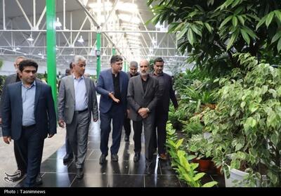 بازدید استاندار مازندران از نمایشگاه گل و گیاه - ساری- عکس صفحه استان تسنیم | Tasnim