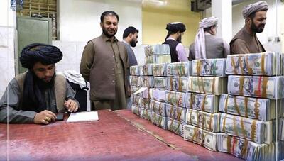 گزارش کارشناس آمریکایی از میزان مالیات طالبان